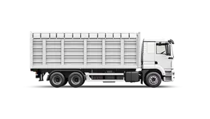 Грузоперевозки зерновозами